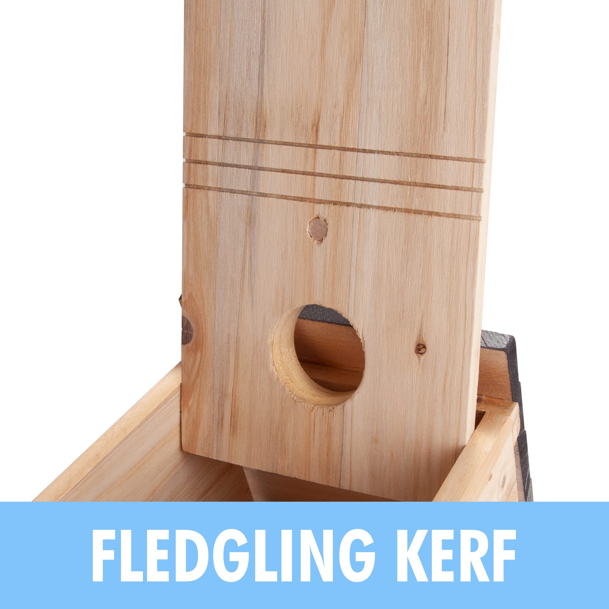 CARTMAN 0.5 Inch Thick Blue Bird Box House, Wood Bird Houses for Outside, Hummingbird House for Outside Clearance Garden Country Cottages, 2PK - Image 5