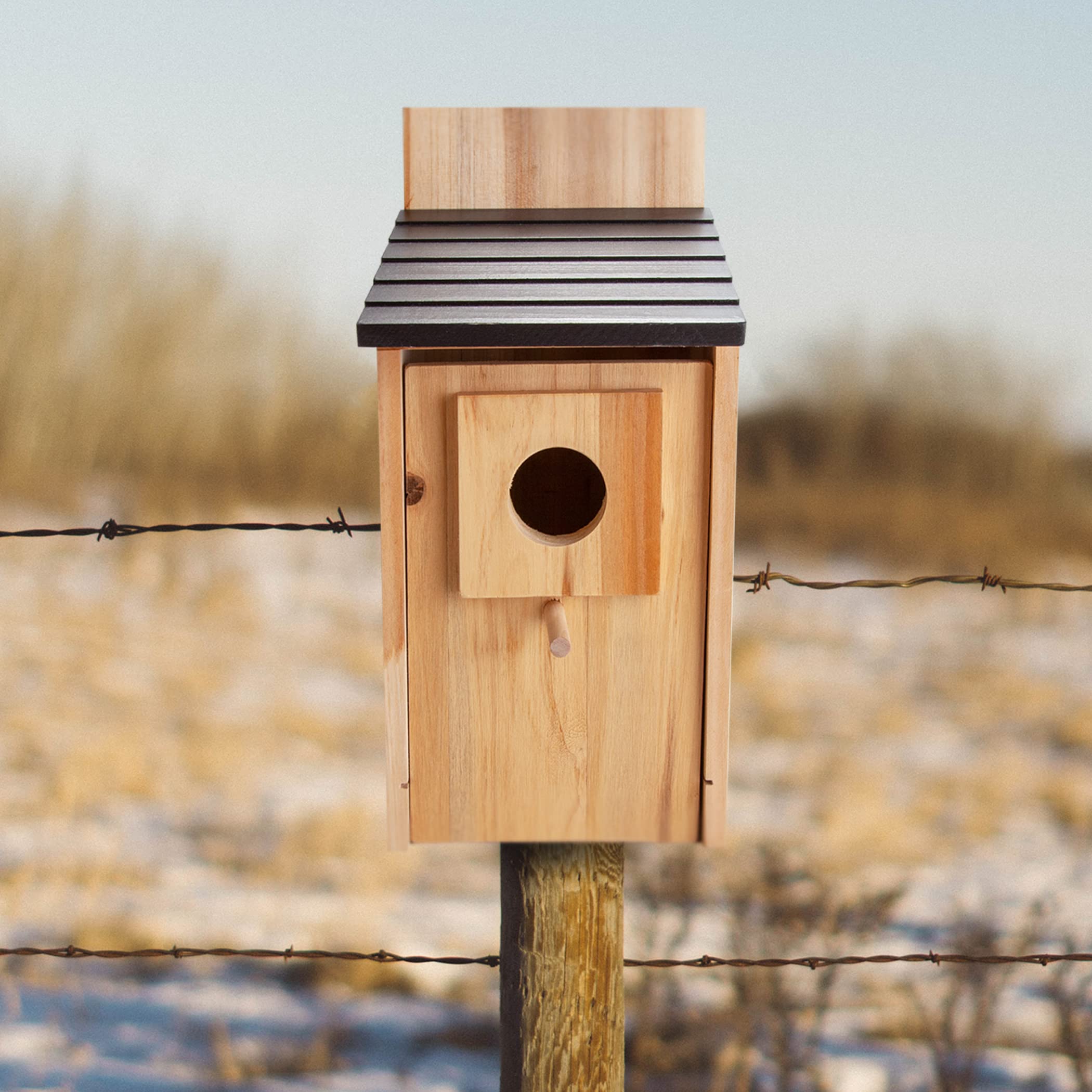 CARTMAN 0.5 Inch Thick Blue Bird Box House, Wood Bird Houses for Outside, Hummingbird House for Outside Clearance Garden Country Cottages, 2PK - Image 8